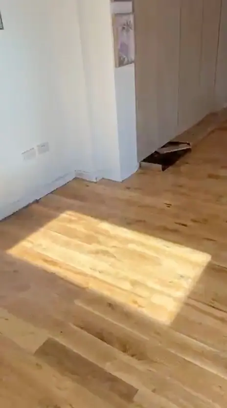 Sunlight across a finished plank floor in an open-plan room